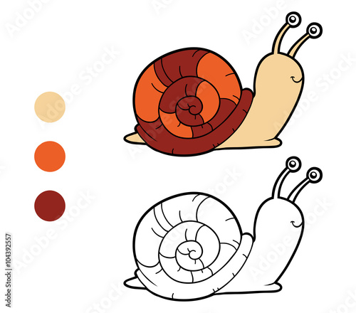 Coloring book, coloring page (snail)