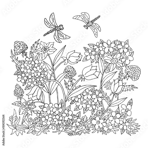 Fototapeta Naklejka Na Ścianę i Meble -  Illustration with flowers for coloring