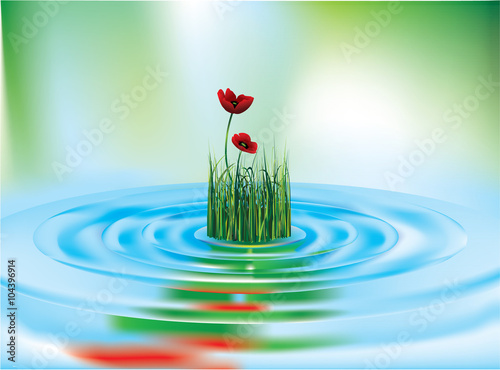 poppy and grass reflecting in the water