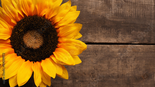 Fototapeta Naklejka Na Ścianę i Meble -  Sunflower on wood