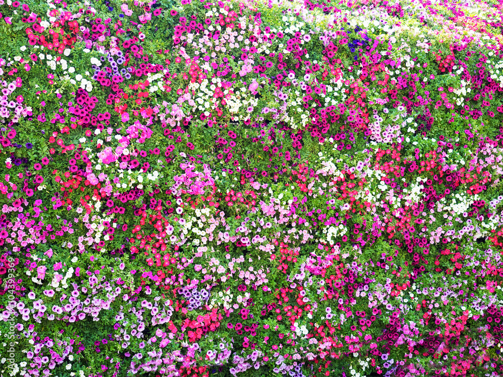full decorated wall with the colorful fresh flowers