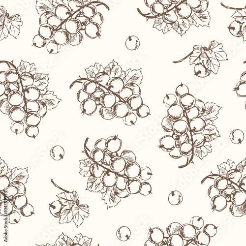 Black currant seamless pattern. Collection of berries.