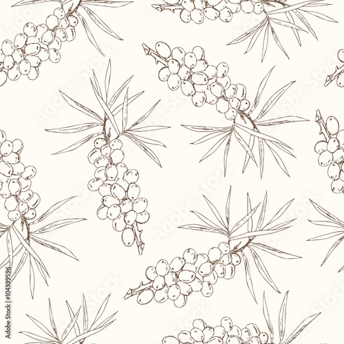 Sea-buckthorn seamless pattern. Collection of berries.