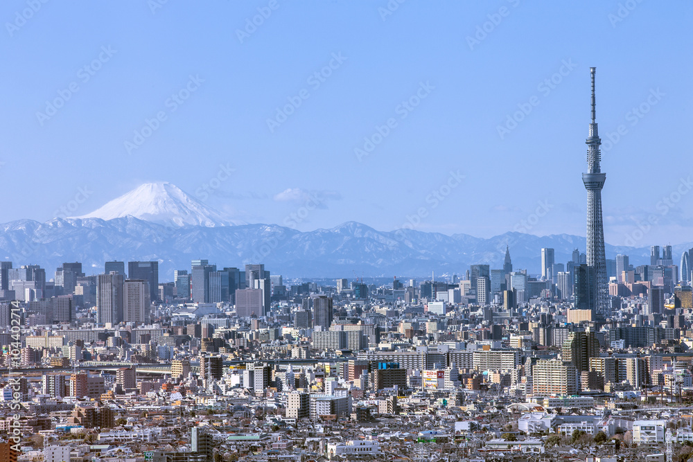 Obraz premium 富士山と東京スカイツリーと東京の街並みを望む雄大な日本の風景