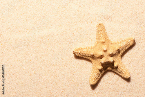 Starfish on sand. Summer beach background