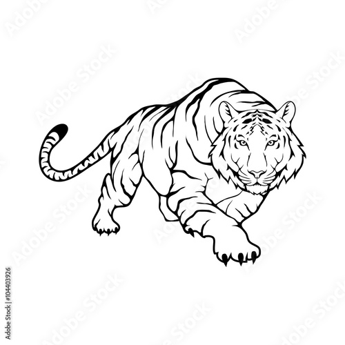 Fototapeta Naklejka Na Ścianę i Meble -  Tiger logo