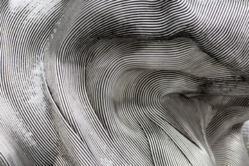 Background texture of the shining metal surface. The curved plate is made of iron.