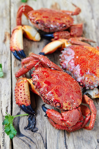 Boiled crabs on wooden surface