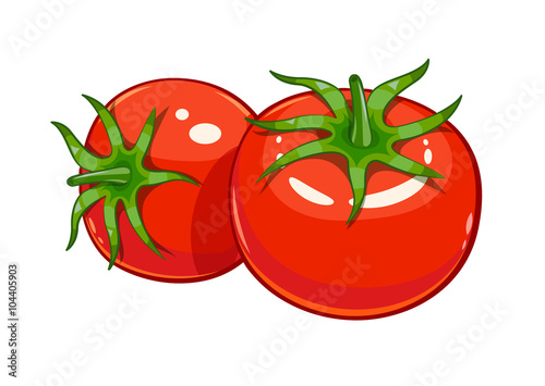 Pair red ripe tomato vector illustration eps10