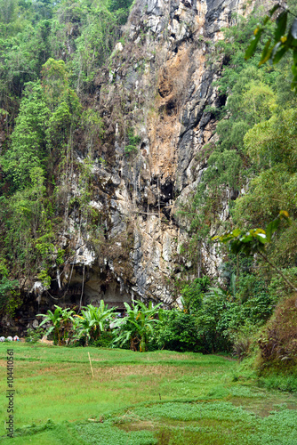 Londa is cliffs and cave burial site in Tana Toraja  South Sulaw