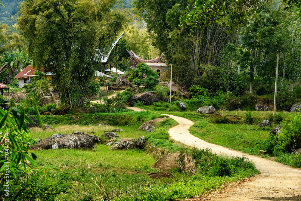 Road to Lempo village, Tana Toraja