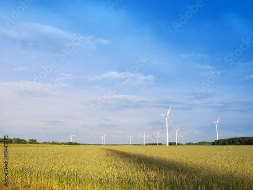 pole turbin wiatrowych photo
