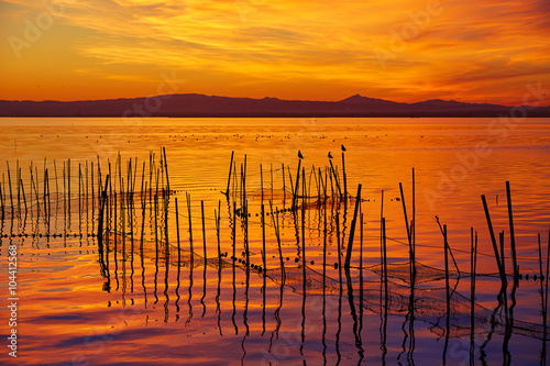 Fototapeta Naklejka Na Ścianę i Meble -  La Albufera lake sunset in El Saler of Valencia