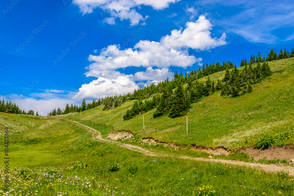Fototapeta premium Beautiful landscape of valley in Alpine mountains, small trail, hike root, majestic picturesque view in sunny day
