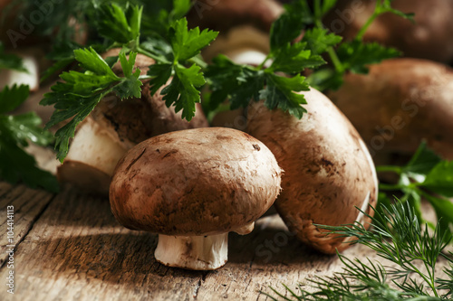 Royal brown mushrooms with a sprig of parsley and dill on an old