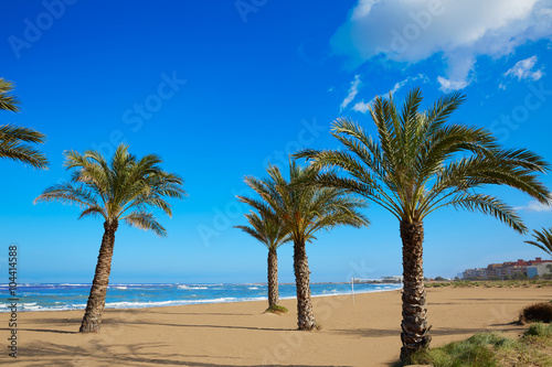 Fototapeta Naklejka Na Ścianę i Meble -  Denia beach Las Marinas with palm trees Alicante