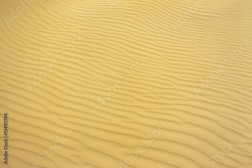  sand on the beach in summer. wave