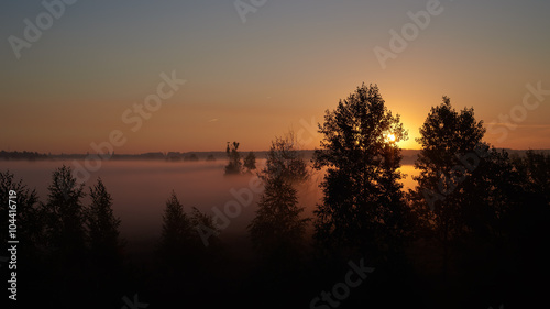 Sunrise over foggy meadow with trees and bushes