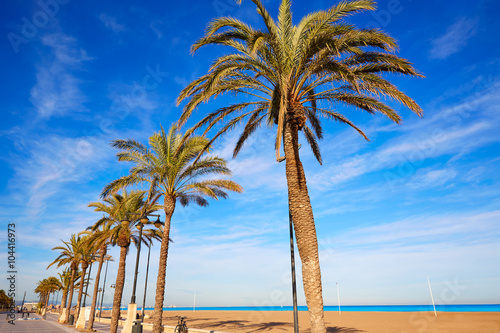 Valencia La Malvarrosa beach palm trees Spain