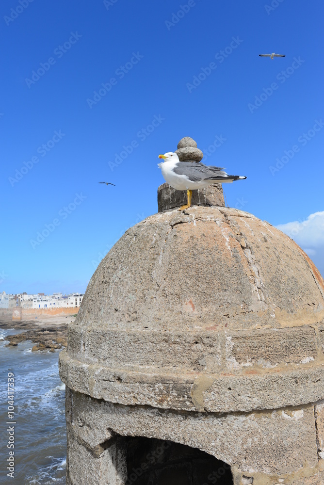 Naklejka premium Essaouira Marokko