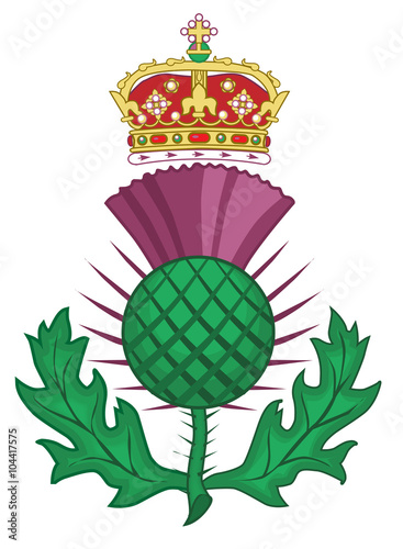 Thistle Symbol Of Scotland