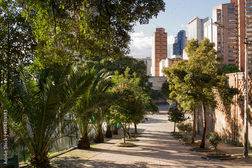 Fototapeta premium Tree filled street in Bogota, Colombia