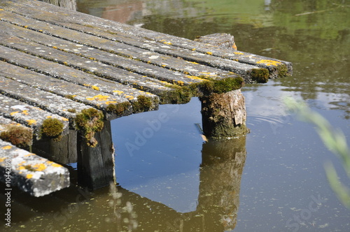 Картината върху платно Plattform with fishpond
