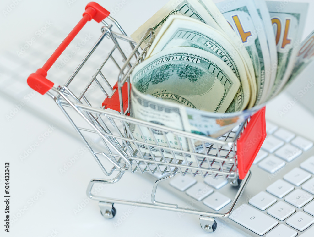 Dollars in the shopping cart - concept of online shopping