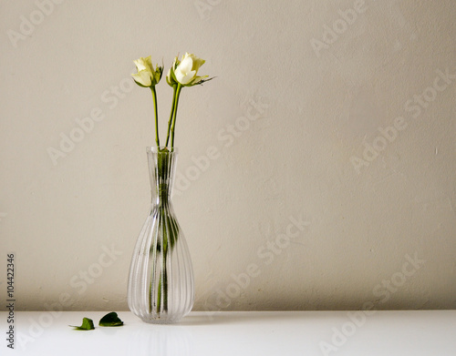 Three white roses in a glass vase with two leaves scattered on a white table against a netural coloured wall photo