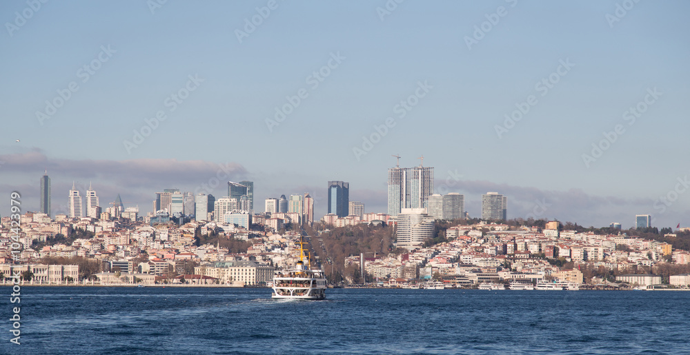 Obraz premium Besiktas District in European side of Istanbul City