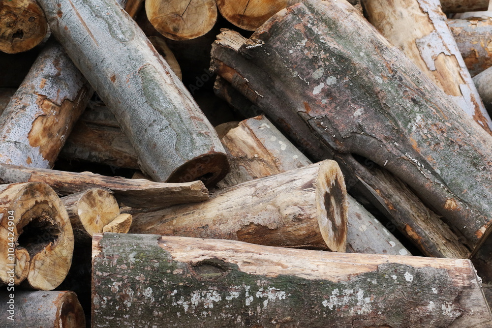 firewood background and texture, beech wood firewood background and texture, beech wood