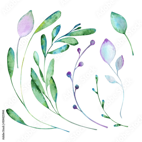 Floral elements paint with watercolors