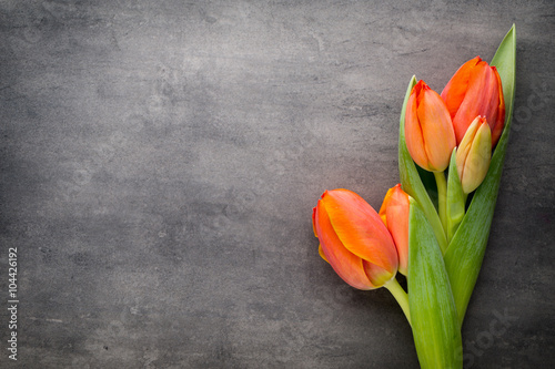 Tulips, orange on the grey background.
