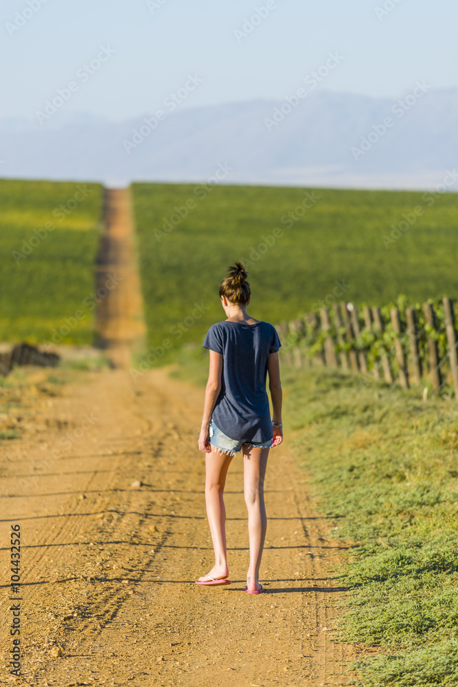 Woman walking in grape winelands wineyard at sunset Woman walking in grape winelands wineyard at sunset