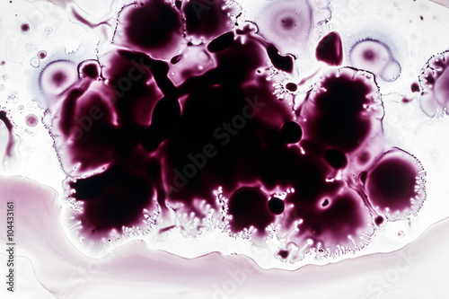Color Ink drops and splatters on white background.