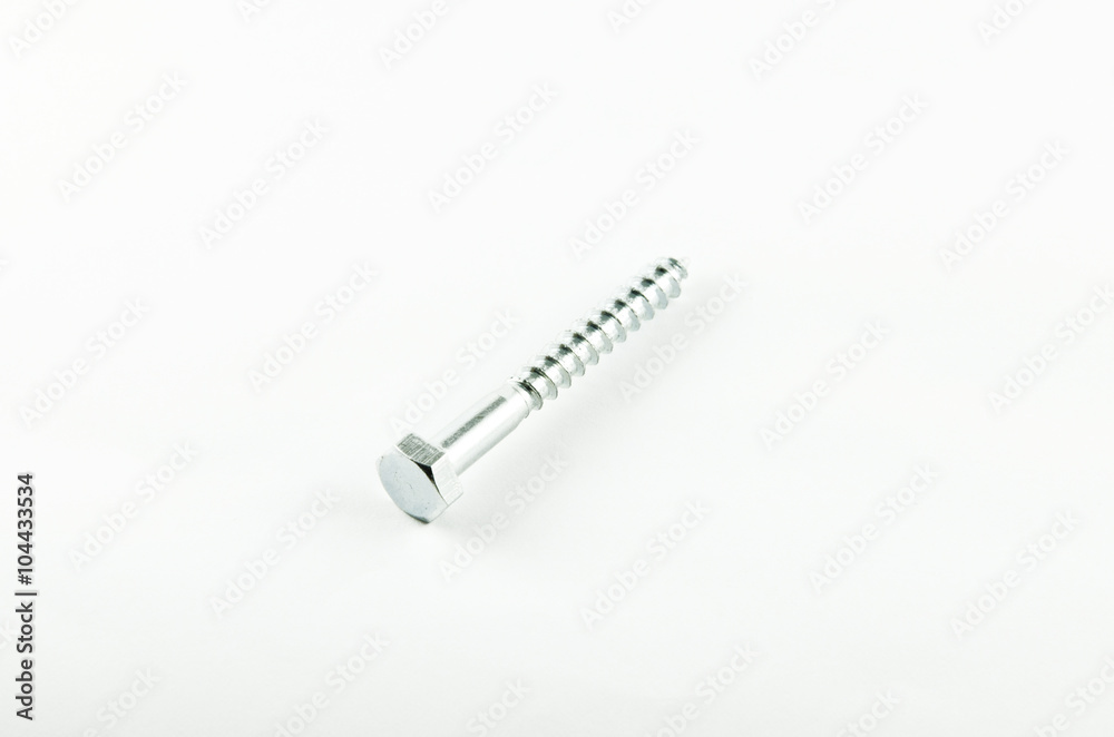 Screw Screw