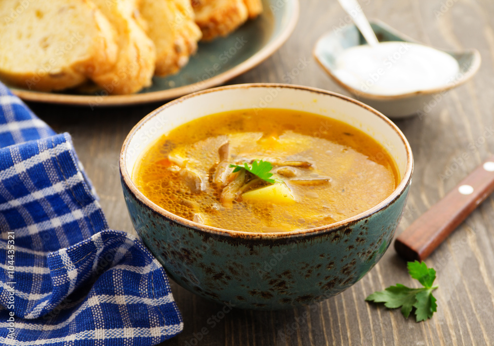 Mushroom soup with oyster mushrooms. Mushroom soup with oyster mushrooms.