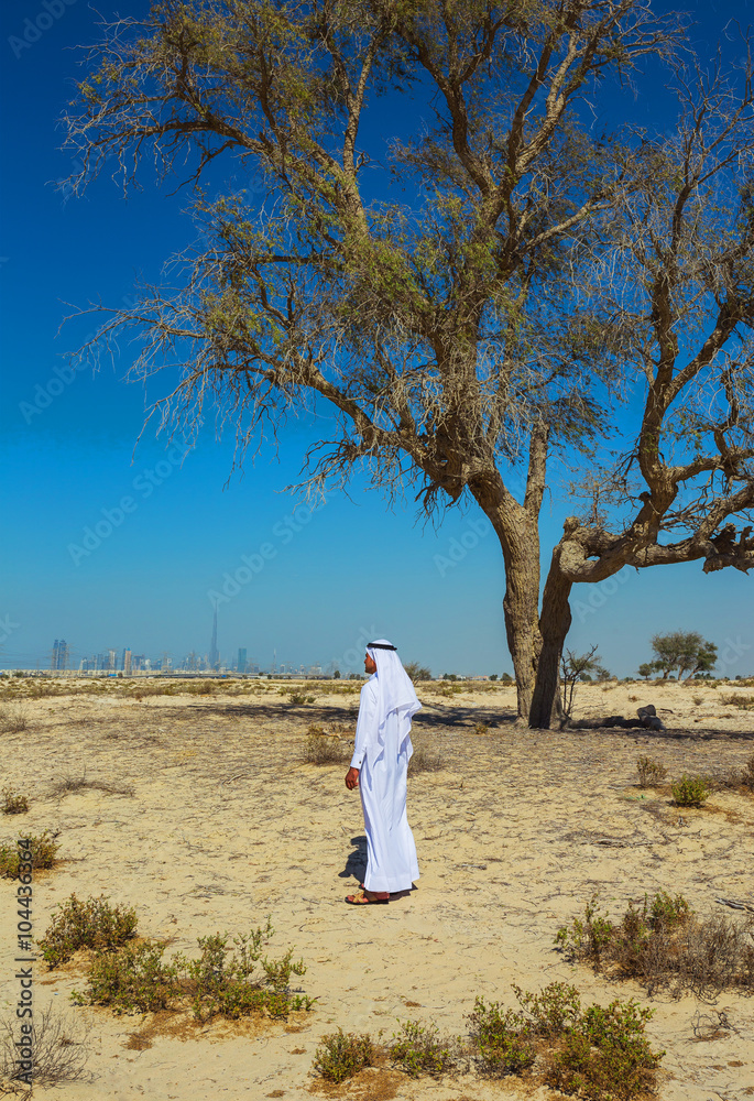 Arabian desert Arabian desert