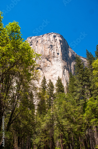 Yosemite national park - California - USA