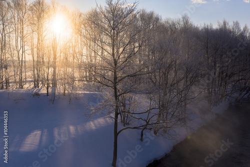 朝日を浴びる霧氷の並木 © san724