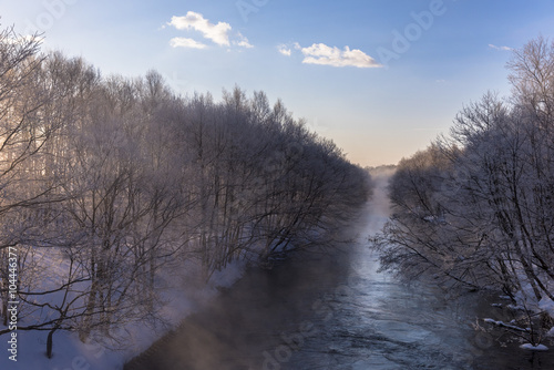 霧氷のある川の風景