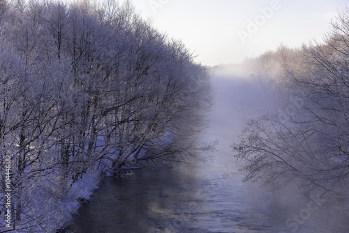 霧氷のある川の風景