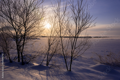朝の光と霧氷の木々