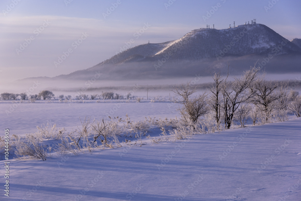 阿寒国立公園の霧氷のある風景