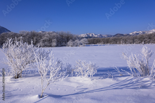 阿寒国立公園の霧氷のある風景 © san724