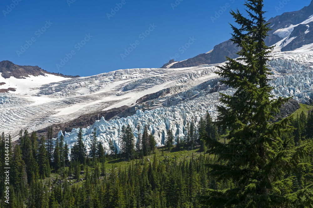 Coleman Glacier. Coleman Glacier is located on Mount Baker in the North Cascades of the U.S. state of Washington. Seen from Heliotrope Ridge to the south with Roosevelt Glacier to the north.