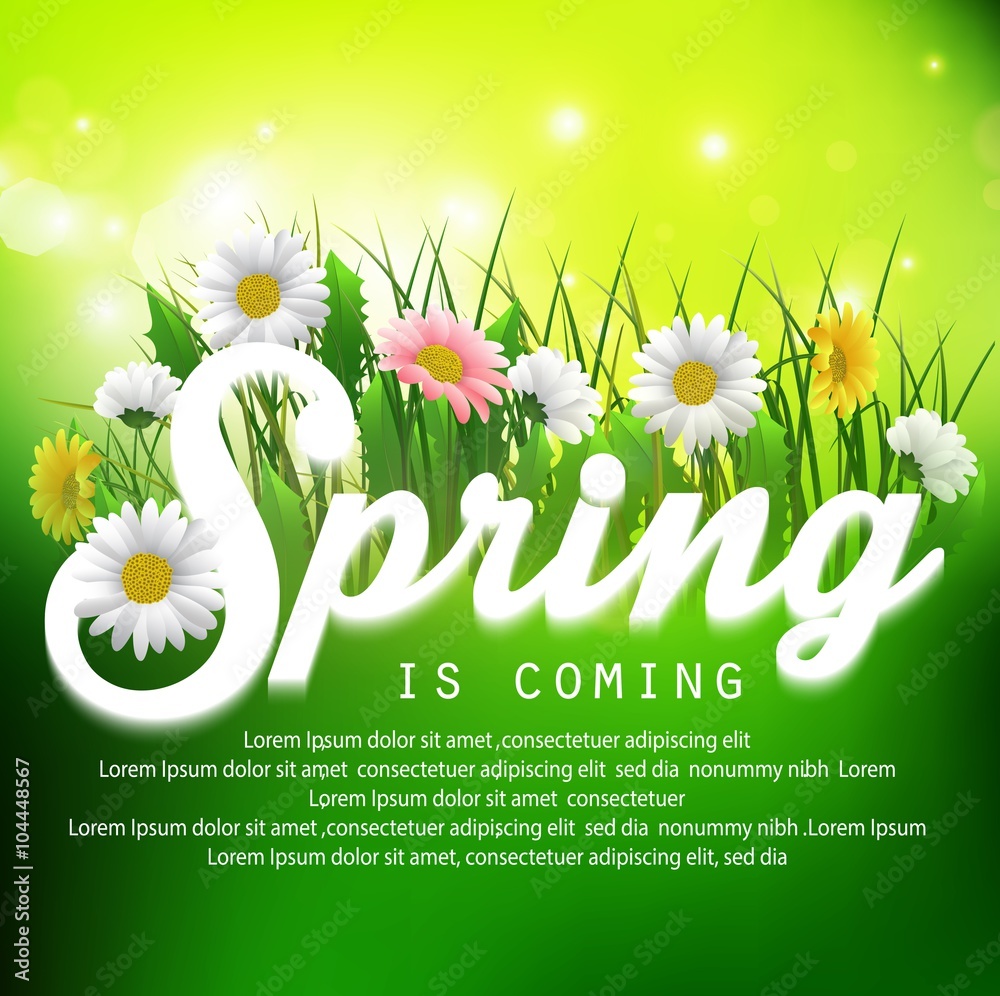 Obraz premium Fresh spring background with grass and flowers