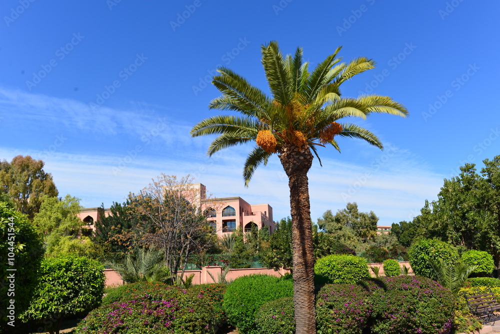Marrakesch Gärten im Frühling
