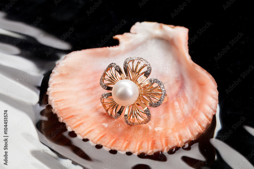Ring And Shell Ring And Shell