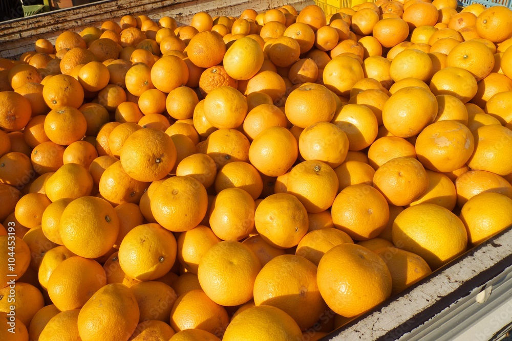 A truckfull of zamboas and oranges